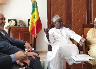 ظریف با رئیس مجلس ملی سنگال دیدار کرد