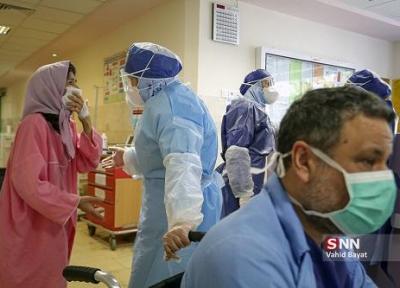تعداد مبتلایان به کرونا در بوشهر به 38 نفر رسید